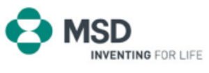 Logo large msd